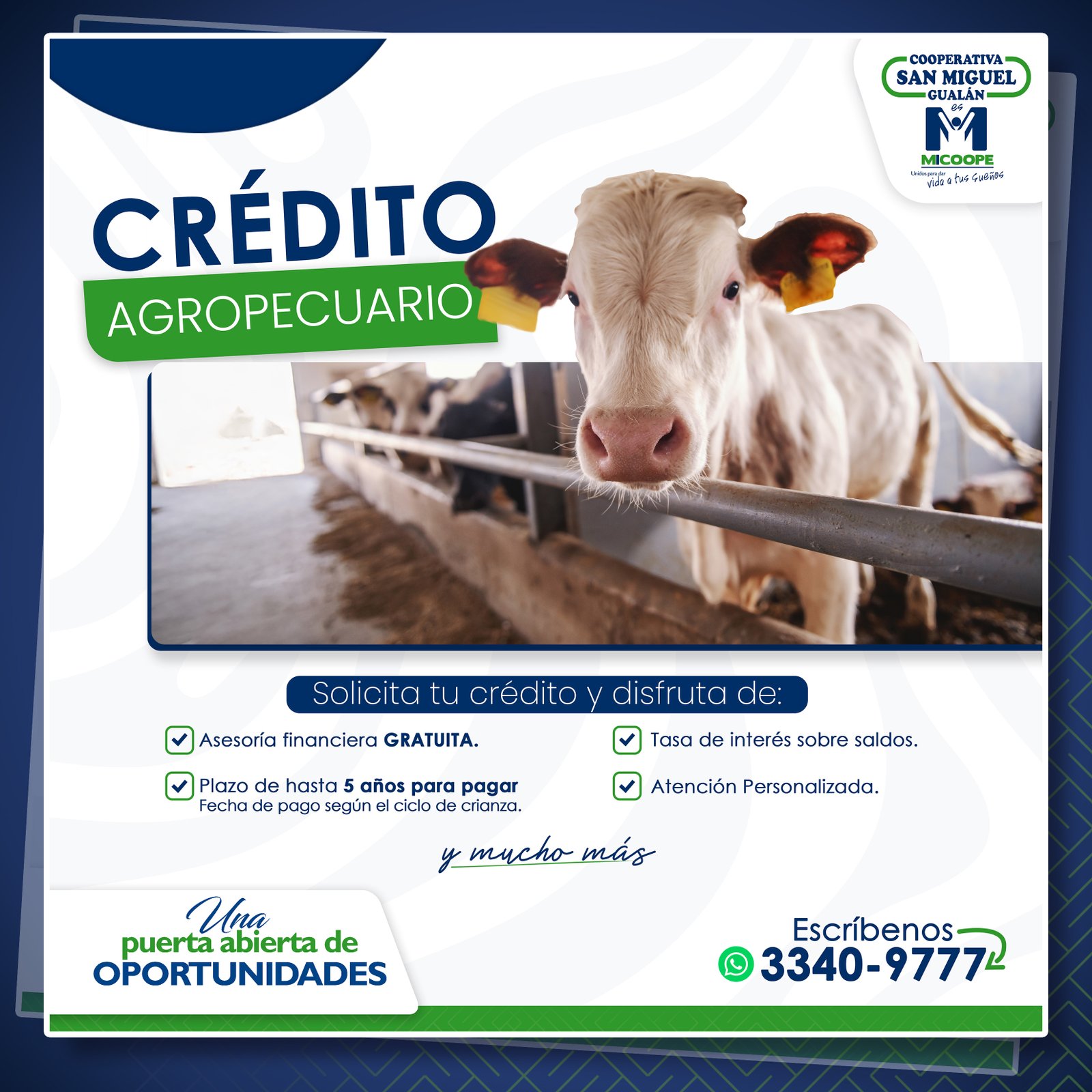 Crédito 3